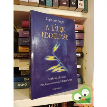 Rajinder Singh: A lélek ébredése