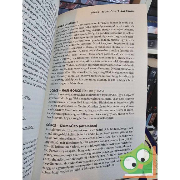 Jacques Martel: Lelki eredetű betegségek lexikona