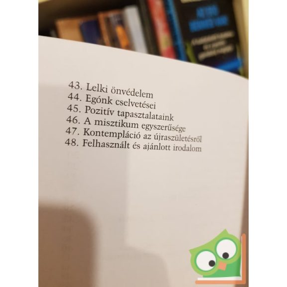 Böde István: A lelkünk jógája (ritka)