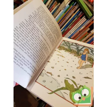 Bálint Ágnes: Lepke az írógépen