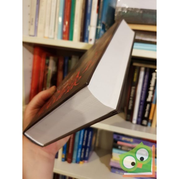 Anne Rice: Lestat, a vámpír (Vámpírkrónikák 2.)