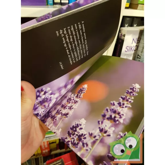 Demján Ildikó - Munkácsi Gabriella: Levendárium - Képek és gondolatok (ritka)