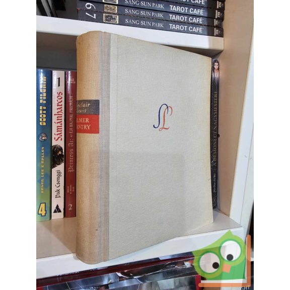 Sinclair Lewis: Elmer Gantry