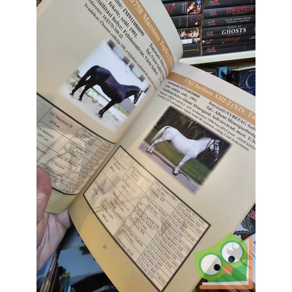 Novotni Péter (szerk.): Lipicai ménismertető 2016