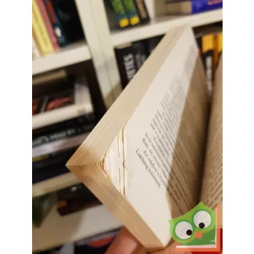   Leslie L. Lawrence: Az üvegpadlós függőhíd kolostora I-II. (Leslie L. Lawrence 47.)