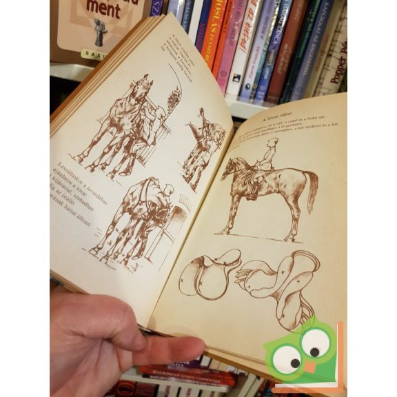 Flandorffer Tamás Hajas József: Ló és lovaglás (Második, javított kiadás)