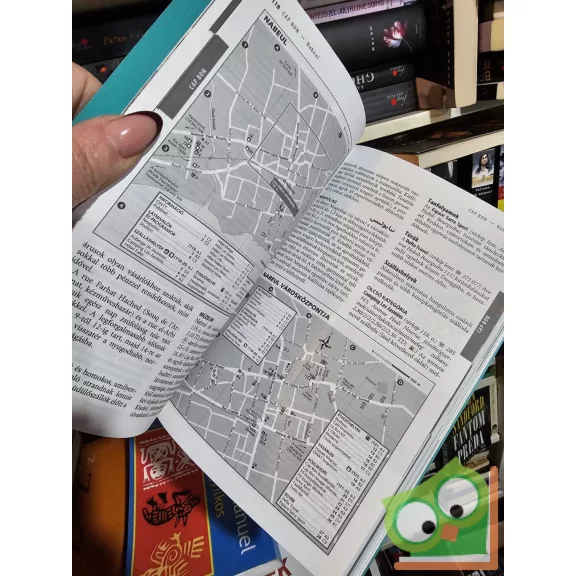 Anthony Ham - Abigail Hole: Tunézia (Lonely Planet)