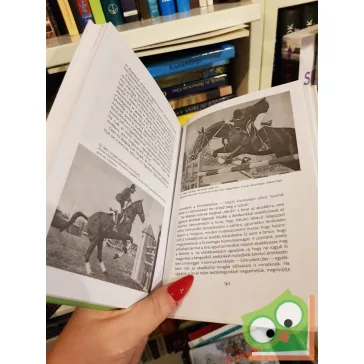 Domokos Lajos: A lovaglás alapjai