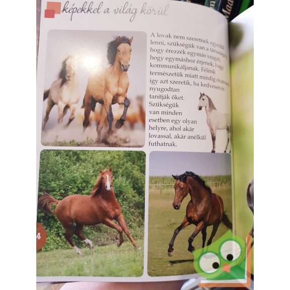 Lovak képekkel a világ körül.