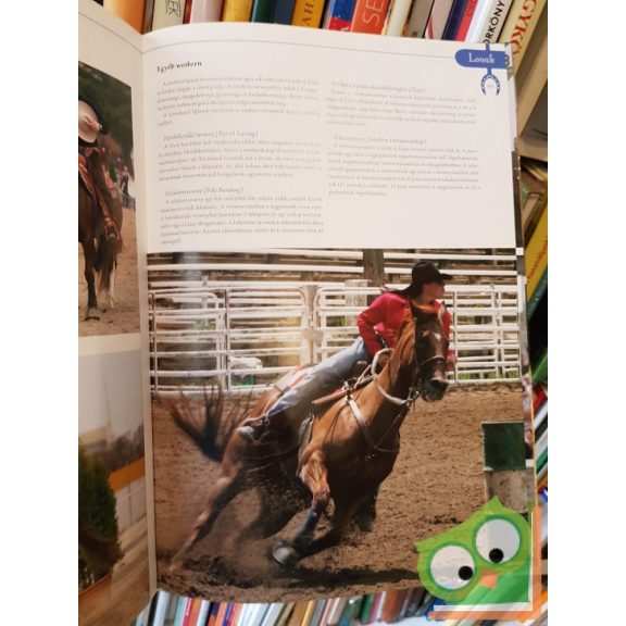 Erdélyi Magdolna: Lovak