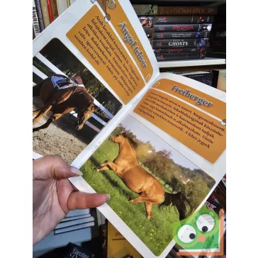 Krajnik Bíró Sára: Lovak és pónik