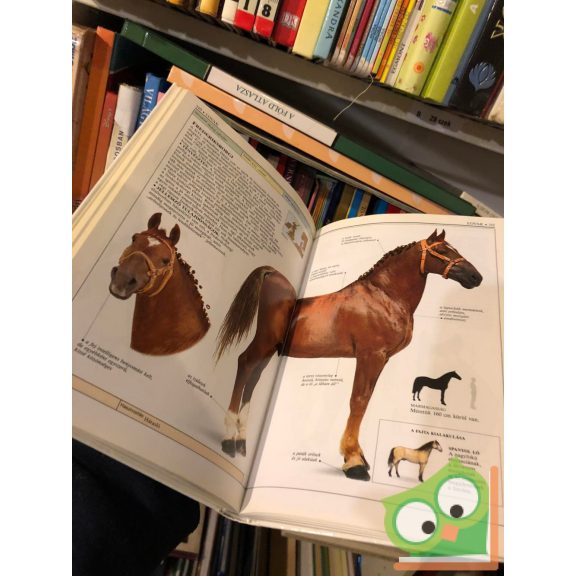 Elwyn Hartley Edwards: Lovak (Határozó kézikönyvek)