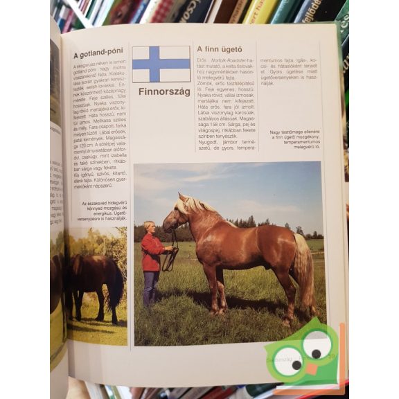 Heidrun Werner: Lovak