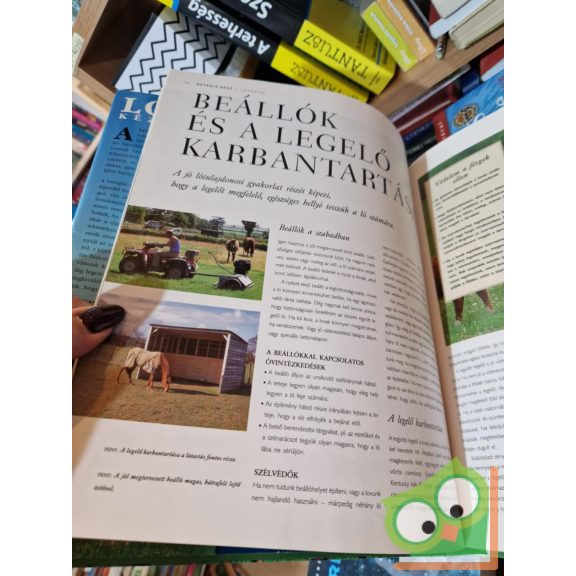 Judith Draper: Lovas Kézikönyv - A lovak és a lósportok képes kalauza