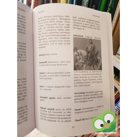 Huszthy Ádám: Lovas kislexikon - Lovasmester