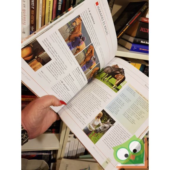 Jo Bird: Lovunk utóidomítása