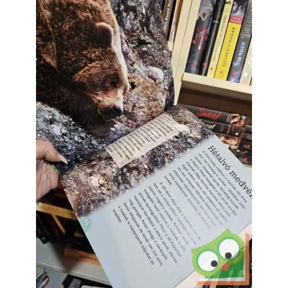 Catherine Lukas: Medvék (Szórakoztató állatvilág)