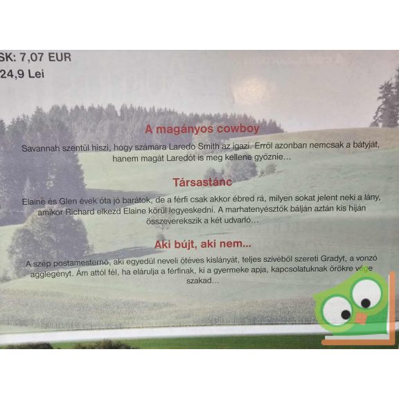 Sikerszerzők legszebb történetei 3. - Debbie Macomber: Texasi fiúk (ritka)