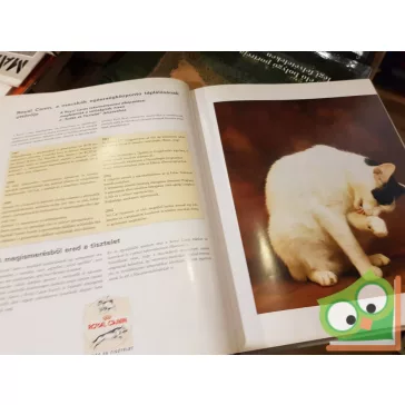 Macska Enciklopédia I-II.