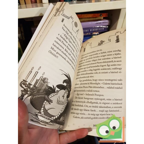 A. Gatti, D. Morosinotto: Ki rabolta el a tűzhely királyát? (Macskadetektívek 1.)