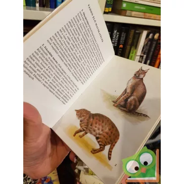 Veress István: Macskák (Búvár zsebkönyvek)