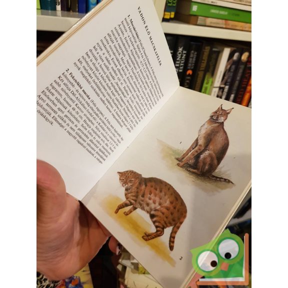 Veress István: Macskák (Búvár zsebkönyvek)