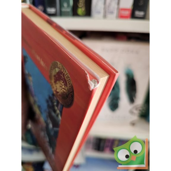 Annie M. G. Schmidt: Macskák társasága