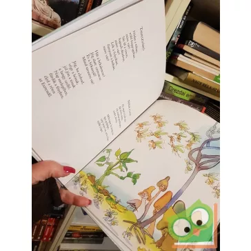 Janicsák István: Macskazenekar