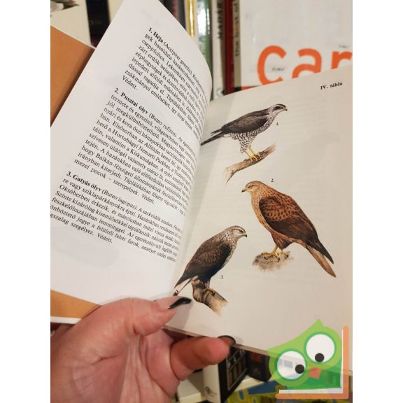 Keve András - Bankovics Attila: Madarak 1-3. (3 kötet együtt) (Búvár zsebkönyv) (nagyon ritka)