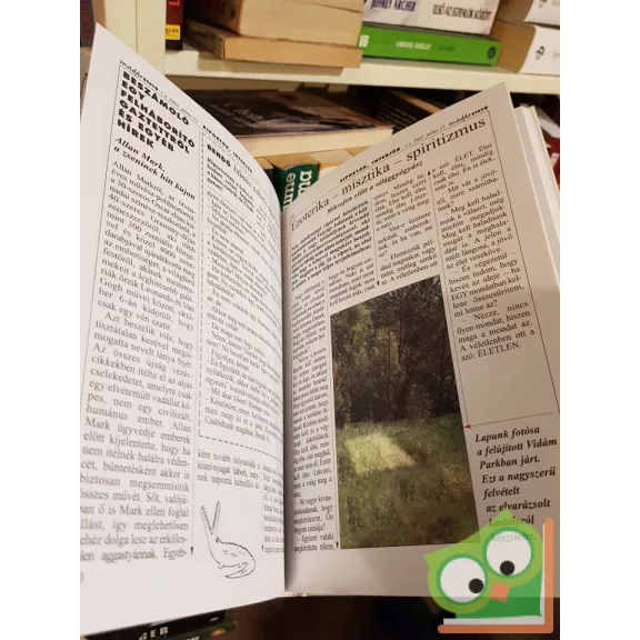 Dolák-Saly Róbert: Madáretető