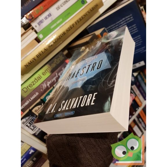 R. A. Salvatore: Maestro (Hazatérés 2.) (Drizzt legendája 29.)