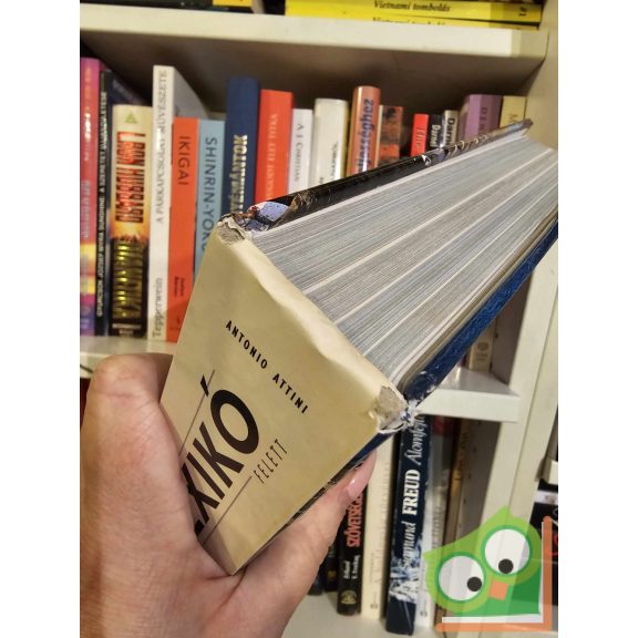 Antonio Attini, Pino Cacucci: Magasan Mexikó felett