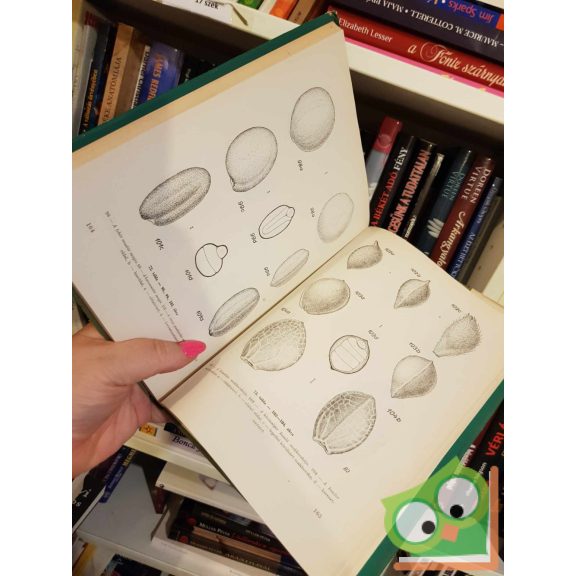 Brecher Gyula: A magismeret atlasza (ritka)