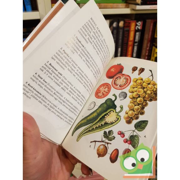 Kósa Géza: Magvak, termések (Búvár zsebkönyvek) (ritka)