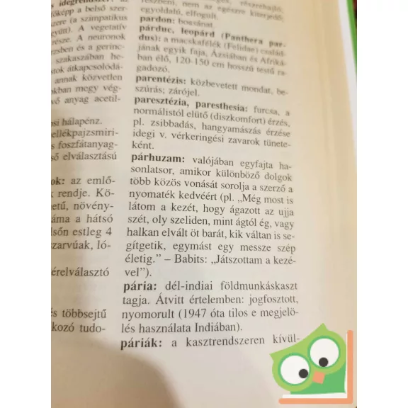 Gerencsér Ferenc (szerk.): Magyar értelmező szótár diákoknak