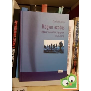 Sós Péter János: Magyar exodus