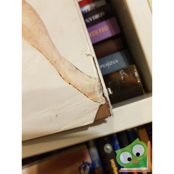 Pogány Ö. Gábor, D. Fehér Zsuzsa: Magyar festészet a 20. században