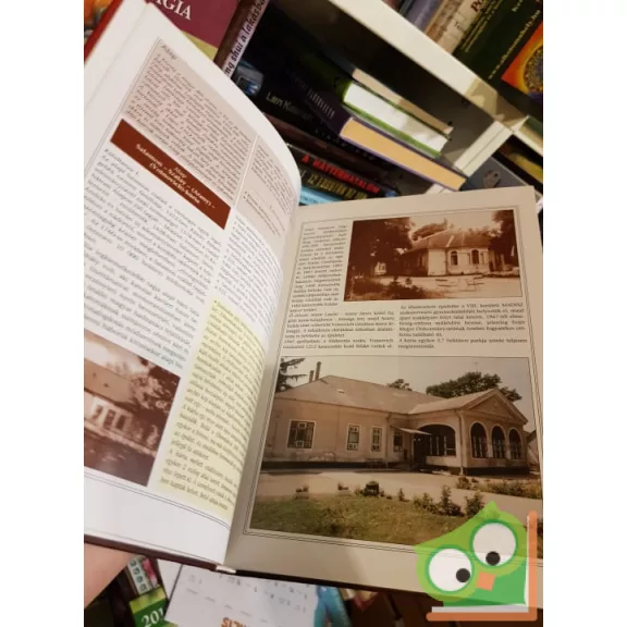 Virág Zsolt: Magyar kastélylexikon 3. (Fejér megye)