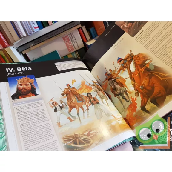 Csürkéné Tóth Dóra: Magyar királyok (3D szemüveggel)