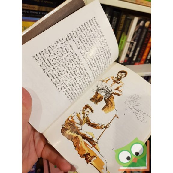 Mandel Róbert: Magyar népi hangszerek (Kolibri könyvek)