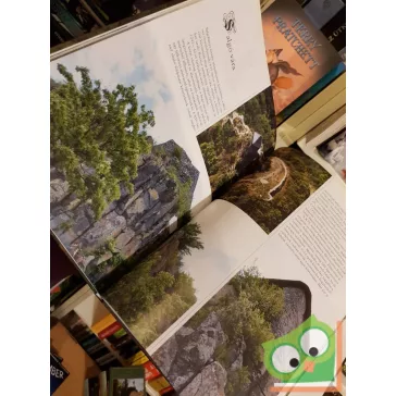   László János (szerk.): Magyar várak - Észak-Magyarország