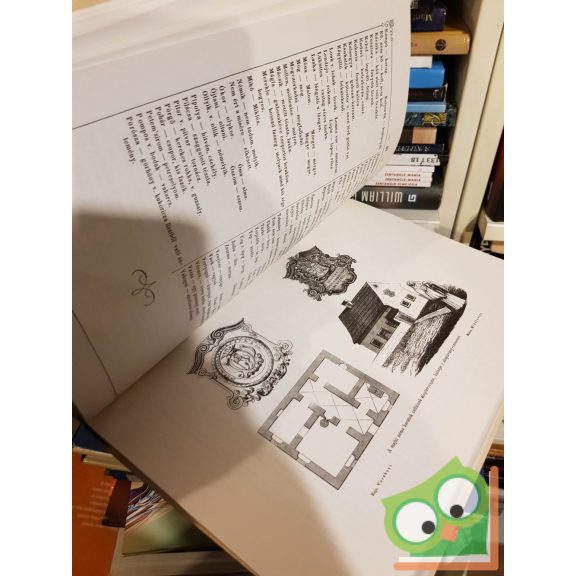 Kubinyi Ferenc, Vahot Imre: Magyarország és Erdély képekben I-II.kötet