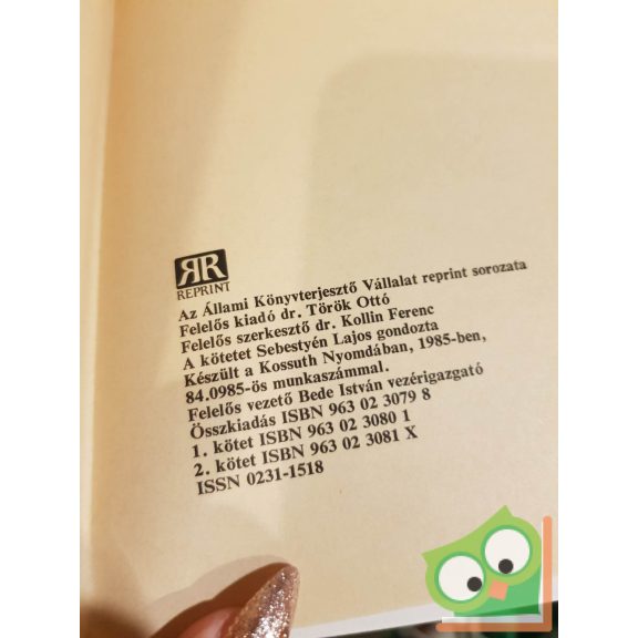 Kubinyi Ferenc, Vahot Imre: Magyarország és Erdély képekben I-II.kötet