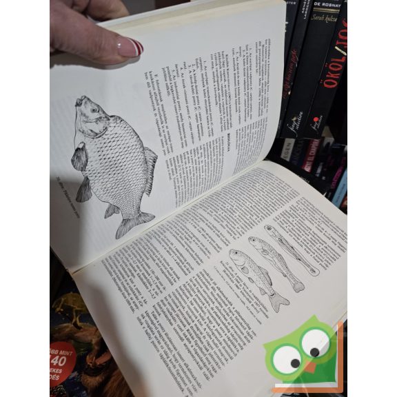 Pintér Károly: Magyarország halai