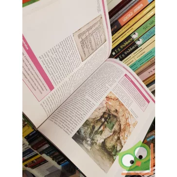   Magyarország története 2 - Font Márta: Államalapítás (970-1038)