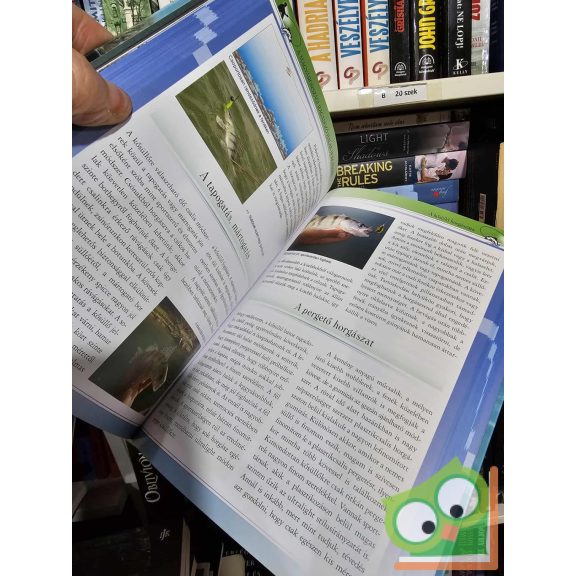 Bokor Károly: A magyarországi ragadozó halak horgászata (ritka)