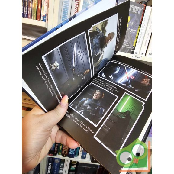 Joe Schreiber: The Mandalorian - 2. évad (Star Wars: The Mandalorian 2.)