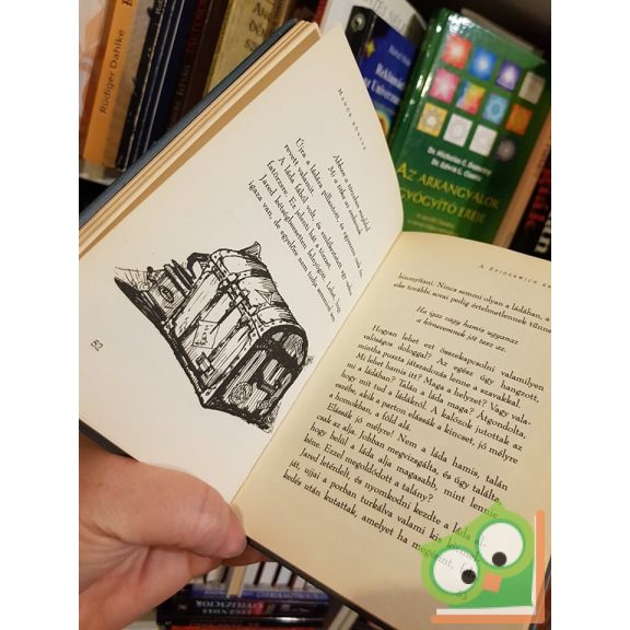 Tony DiTerlizzi, Holly Black: Manók könyve (A Spiderwick Krónika 1.)