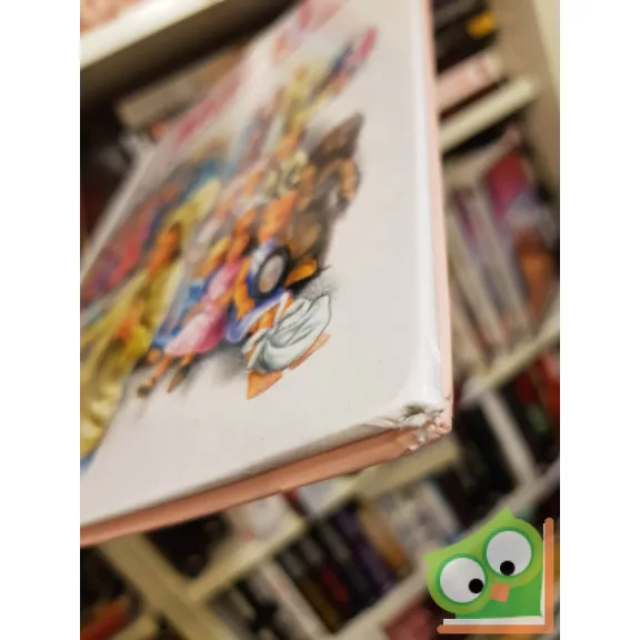 Gilbert Delahaye: Márti és a születésnapi ajándék (Mese a természetről 7.)(ritka)