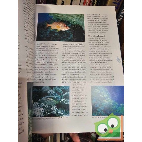 Rob Leewis - Frans Engelsma: A másik világ - Fényképezőgéppel a víz alatt